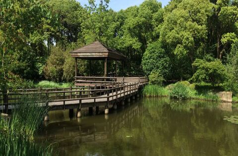 上海濱江森林公園